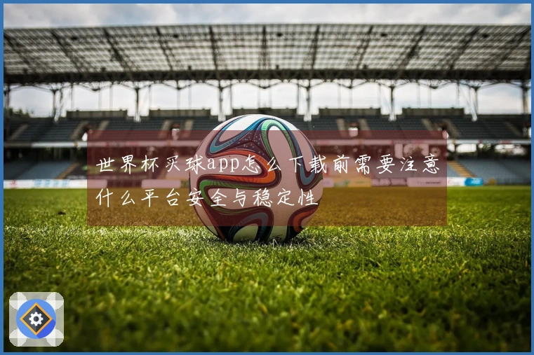 世界杯买球app怎么下载前需要注意什么平台安全与稳定性