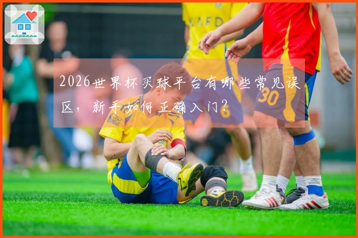 2026世界杯买球平台有哪些常见误区，新手如何正确入门？