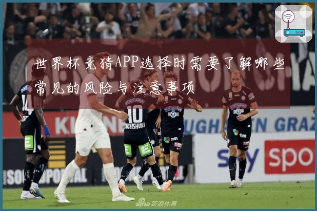 世界杯竞猜APP选择时需要了解哪些常见的风险与注意事项