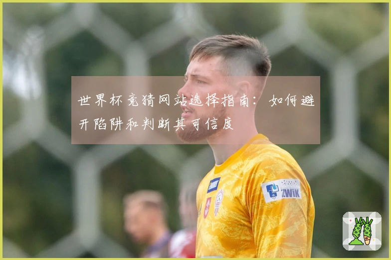 世界杯竞猜网站选择指南：如何避开陷阱和判断其可信度