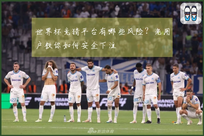 世界杯竞猜平台有哪些风险？老用户教你如何安全下注
