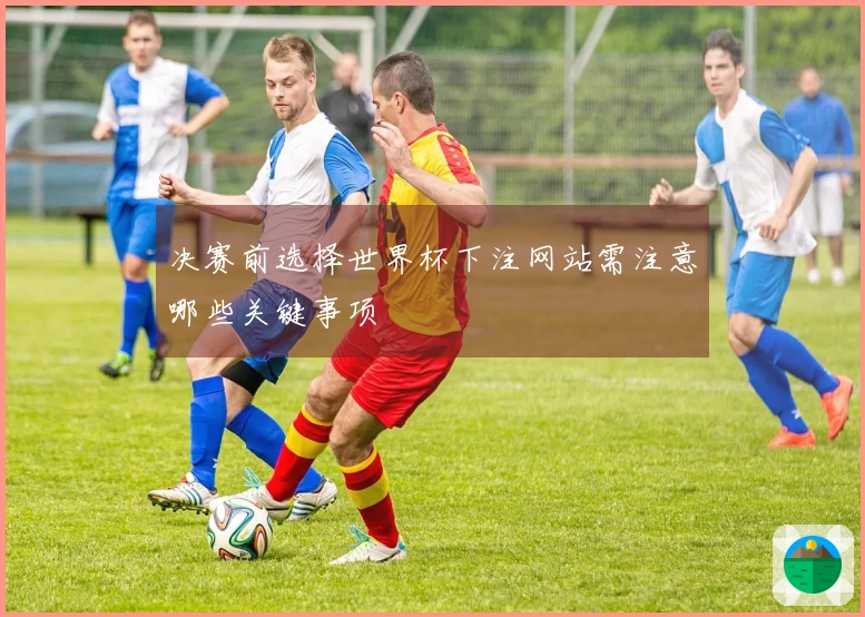 决赛前选择世界杯下注网站需注意哪些关键事项