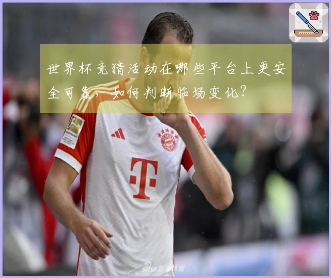 世界杯竞猜活动在哪些平台上更安全可靠，如何判断临场变化？