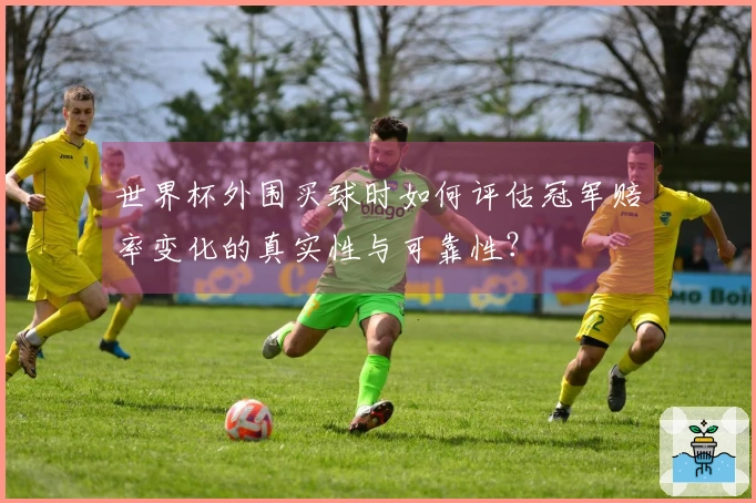 世界杯外围买球时如何评估冠军赔率变化的真实性与可靠性？