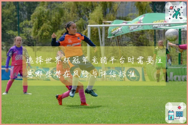 选择世界杯冠军竞猜平台时需要注意哪些潜在风险与评估标准