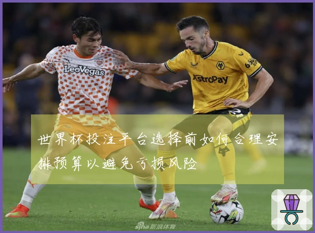 世界杯投注平台选择前如何合理安排预算以避免亏损风险