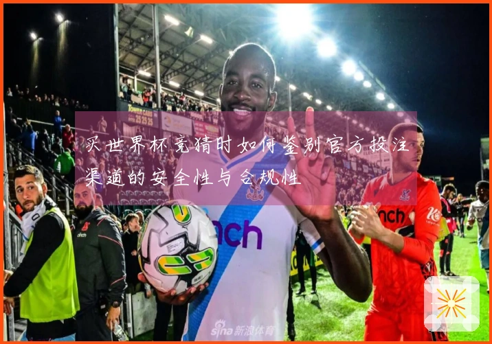 买世界杯竞猜时如何鉴别官方投注渠道的安全性与合规性