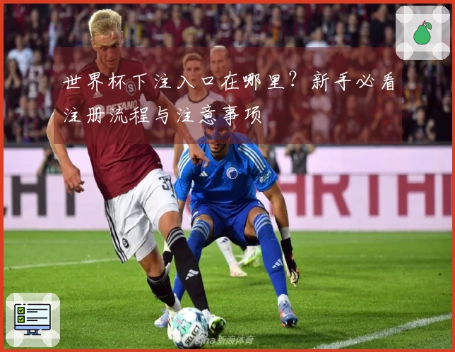 世界杯下注入口在哪里？新手必看注册流程与注意事项