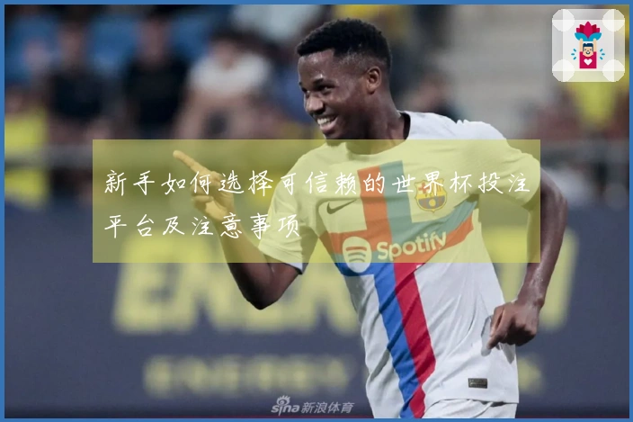 新手如何选择可信赖的世界杯投注平台及注意事项