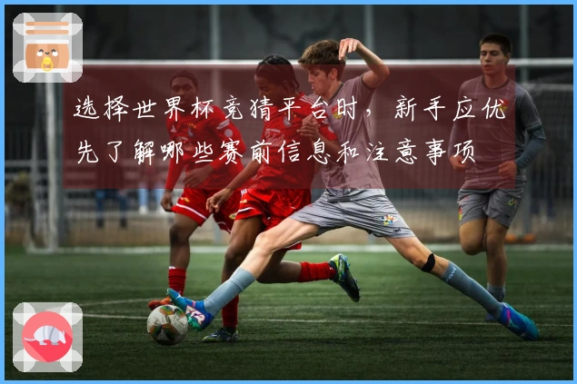 选择世界杯竞猜平台时，新手应优先了解哪些赛前信息和注意事项