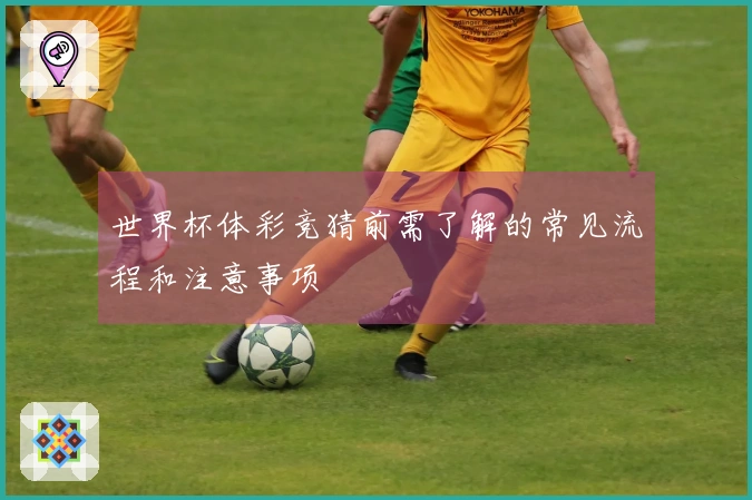世界杯体彩竞猜前需了解的常见流程和注意事项