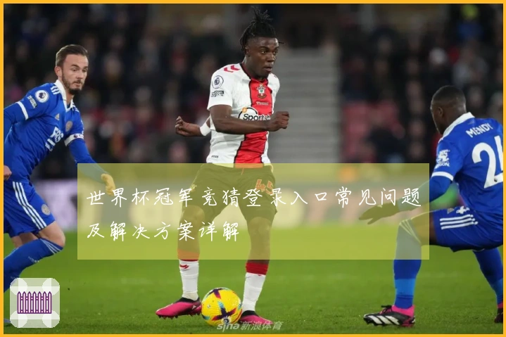世界杯冠军竞猜登录入口常见问题及解决方案详解