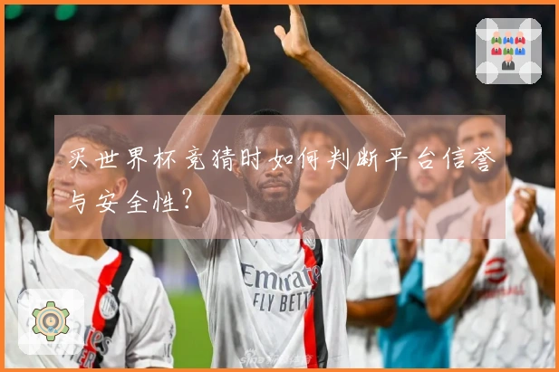 买世界杯竞猜时如何判断平台信誉与安全性？