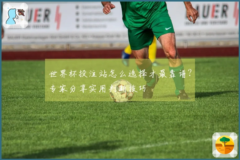 世界杯投注站怎么选择才最靠谱？专家分享实用判断技巧