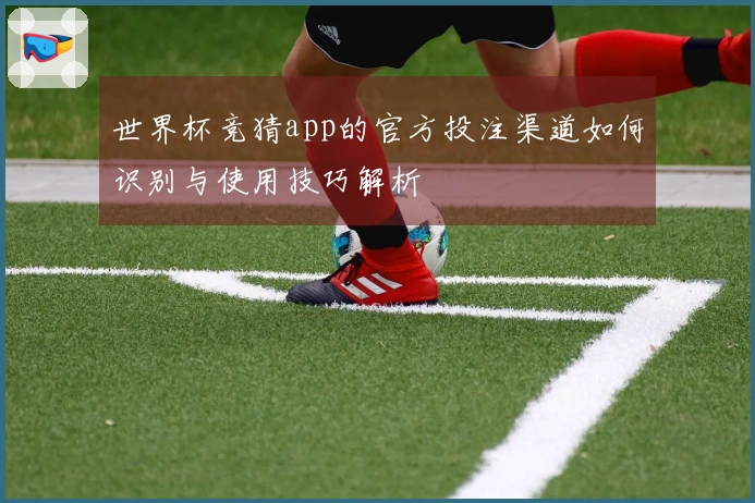 世界杯竞猜app的官方投注渠道如何识别与使用技巧解析