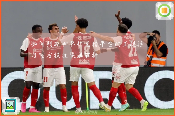 如何判断世界杯竞猜平台的正规性与官方投注渠道解析