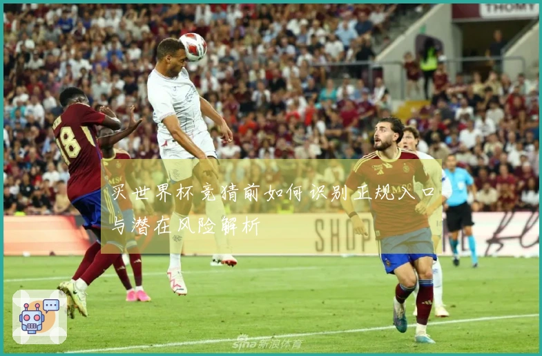 买世界杯竞猜前如何识别正规入口与潜在风险解析