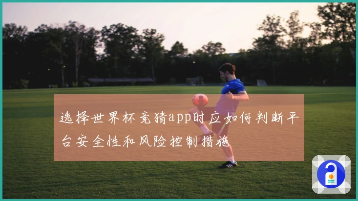 选择世界杯竞猜app时应如何判断平台安全性和风险控制措施