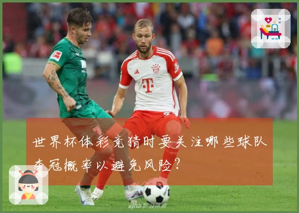 世界杯体彩竞猜时要关注哪些球队夺冠概率以避免风险？