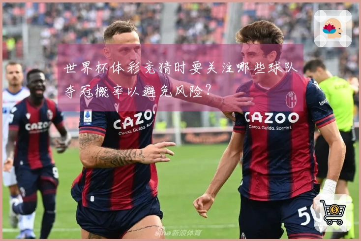 世界杯体彩竞猜时要关注哪些球队夺冠概率以避免风险？
