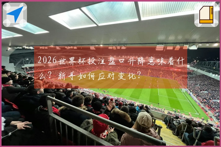 2026世界杯投注盘口升降意味着什么？新手如何应对变化？