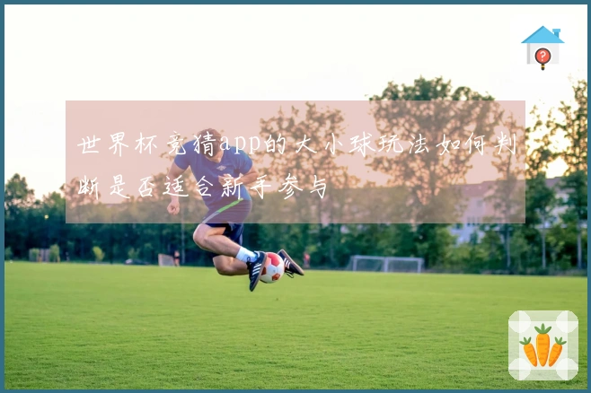 世界杯竞猜app的大小球玩法如何判断是否适合新手参与