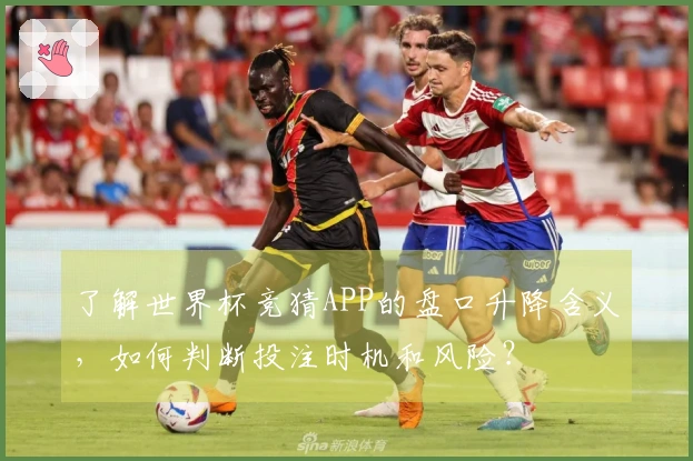 了解世界杯竞猜APP的盘口升降含义，如何判断投注时机和风险？