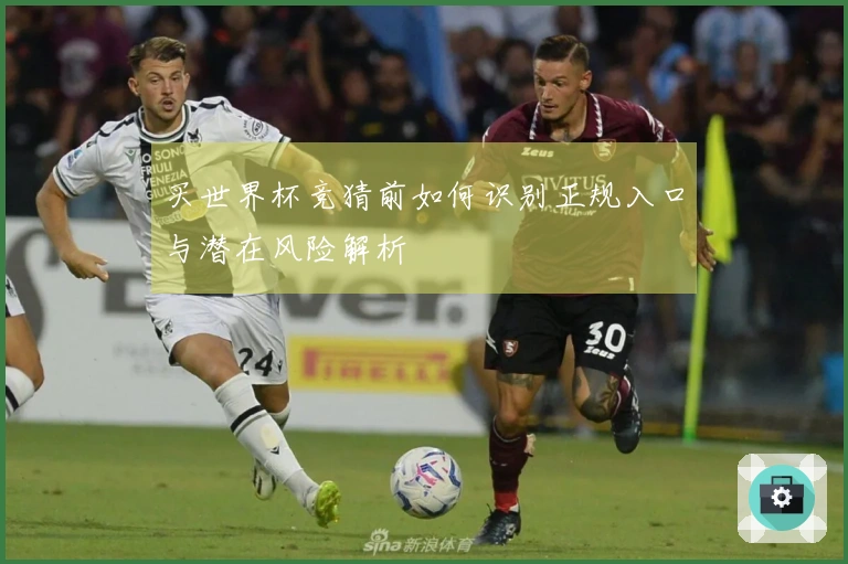 买世界杯竞猜前如何识别正规入口与潜在风险解析