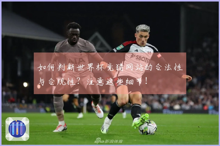 如何判断世界杯竞猜网站的合法性与合规性？注意这些细节！