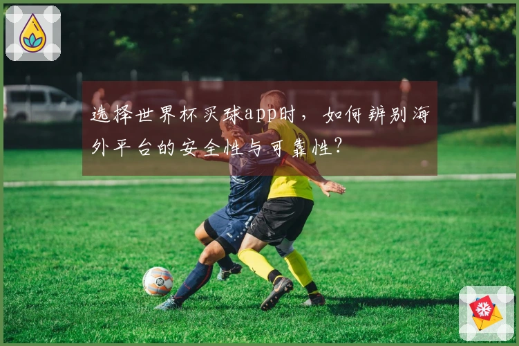 选择世界杯买球app时，如何辨别海外平台的安全性与可靠性？