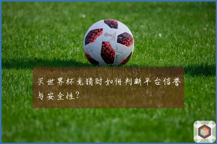 买世界杯竞猜时如何判断平台信誉与安全性？