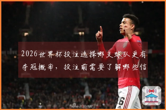 2026世界杯投注选择哪支球队更有夺冠概率，投注前需要了解哪些信息？
