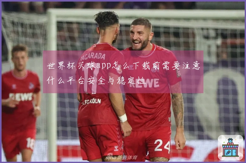 世界杯买球app怎么下载前需要注意什么平台安全与稳定性