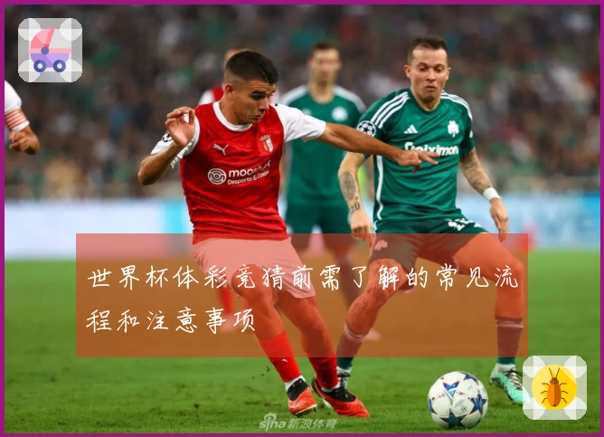 世界杯体彩竞猜前需了解的常见流程和注意事项