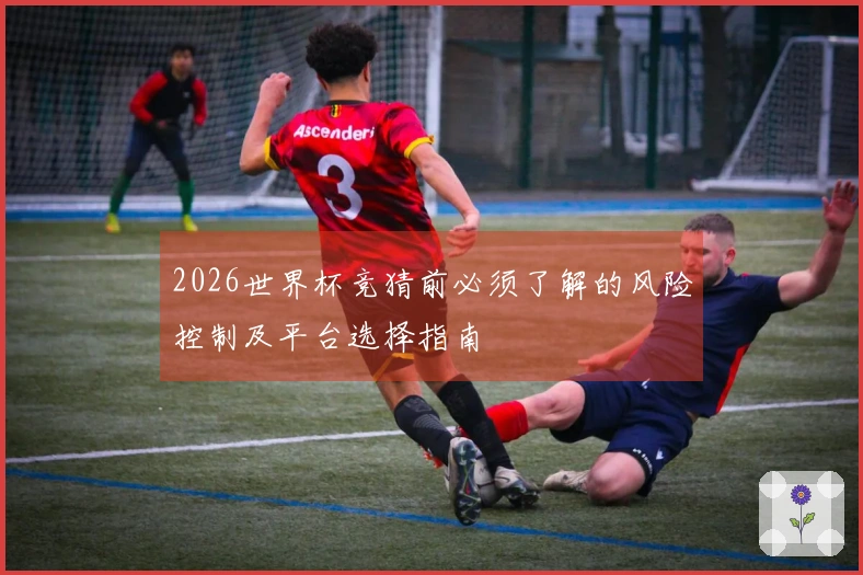 2026世界杯竞猜前必须了解的风险控制及平台选择指南