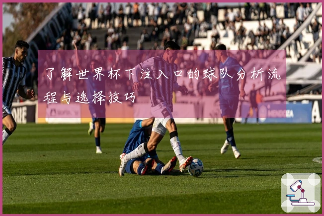 了解世界杯下注入口的球队分析流程与选择技巧
