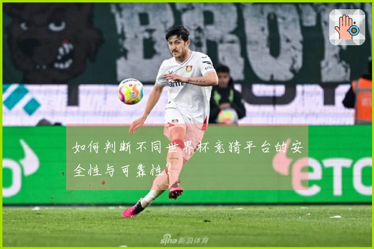 如何判断不同世界杯竞猜平台的安全性与可靠性？