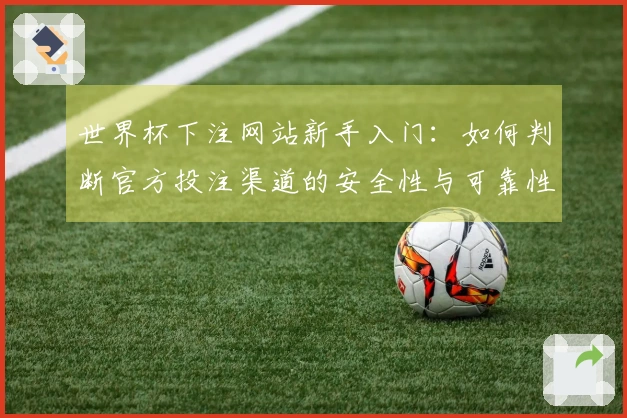 世界杯下注网站新手入门：如何判断官方投注渠道的安全性与可靠性