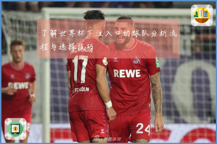 了解世界杯下注入口的球队分析流程与选择技巧