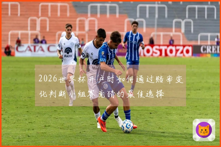2026世界杯开户时如何通过赔率变化判断小组赛竞猜的最佳选择