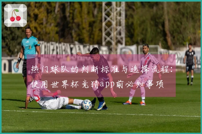 热门球队的判断标准与选择流程：使用世界杯竞猜app前必知事项