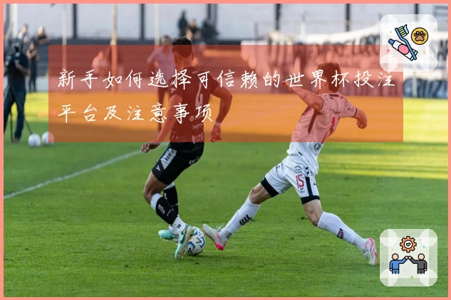 新手如何选择可信赖的世界杯投注平台及注意事项