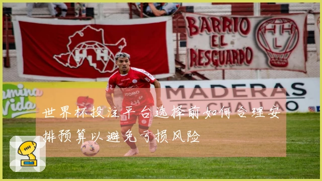 世界杯投注平台选择前如何合理安排预算以避免亏损风险