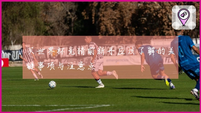 买世界杯竞猜前新手应该了解的关键事项与注意点